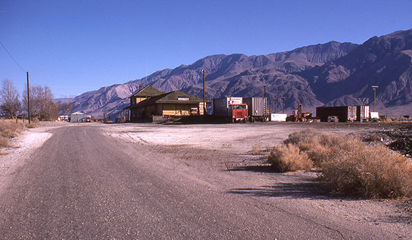 lone pine